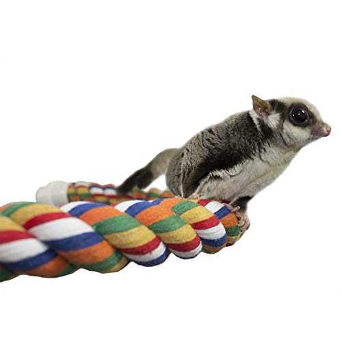 34 Inch Flex Rope (Large) - Bendable Fun Climbing Perch Cage Accessory Toy - Sugar Gliders, Squirrels, Degus, Marmosets, Monkeys, Parrots, Birds, Rats & Other Small Animals (Pack of 2) - size: Large (Pack of 2)