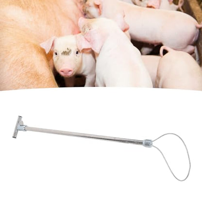 Hog Pig Catcher, Stainless Steel Animal Control Hog Pig Catcher Dog Catcher Pole Portable Animal Catcher Tools for Medium Sized Animals Reptiles (T Handle without Pull Rope 67cm)