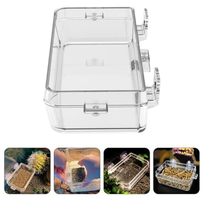 Large Transparent Lizard Feeding Bowl with Suction Cup Wall-Mounted Reptile Feeder Dish for Insect and Water Feeding Smooth Rounded Edges Space-Saving Design for Terrariums
