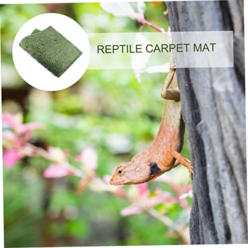 TEHAUX 2pcs Reptile Carpet Sphagnum Moss Lizard Tank Accessories Crested Gecko Supplies Reptile Supplies Terrarium Liner Bedding