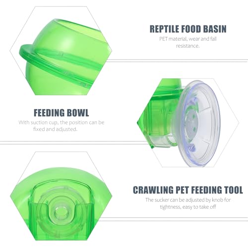 Reptile Feeding Bowls 2pcs Anti-Escape Water and Food Basins Stable Gecko Lizard Feeders for Terrarium Use