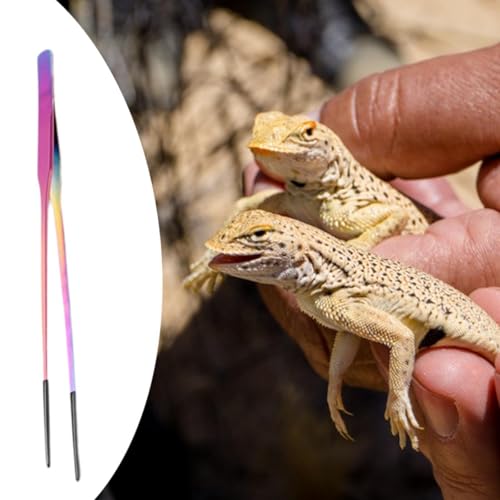 Reptile Feeding Tongs Stainless Steel Silicone Tip Aquarium Tweezers Terrarium Clamp Feeder Tool Water Grass Clip Suitable for Fish Tank Small, Straight - color: Straight