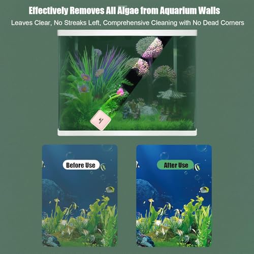 Aquarium Magnet Glass Cleaner Powerful Algae Remover Scrubber | Fish Tank Brush for Saltwater Betta Algae Turtle Reptile Terrarium Wall Kitchen Living Room Water