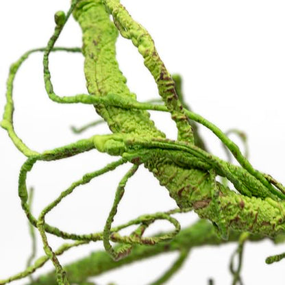 Pangea Reptile Ultimate Vine for Terrarium Habitat (Green) | 6 ' Long Large Diameter Foam Vine for Reptile Enclosures, Bendable, Humidity Resistant, Bendy Offshoot Branches - color: Green