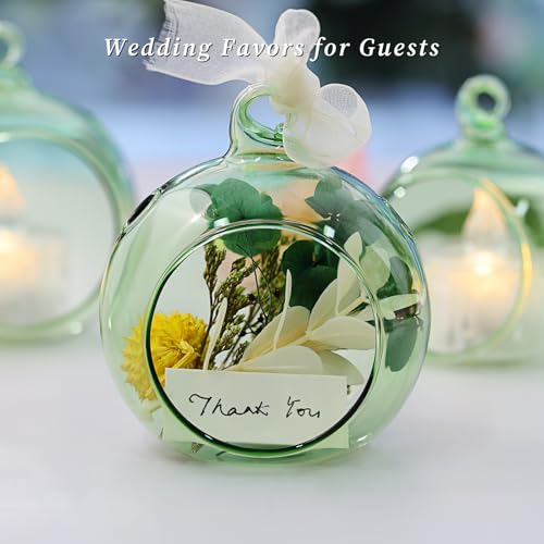 LETINE 12pcs Green Glass Orb Set, 2.17" & 1.93" Spheres for Air Plant Terrarium, Tea Light & Votive Candle Holders - Ideal for Wedding Centerpieces, Christmas Table Decorations, Rehearsal Dinner