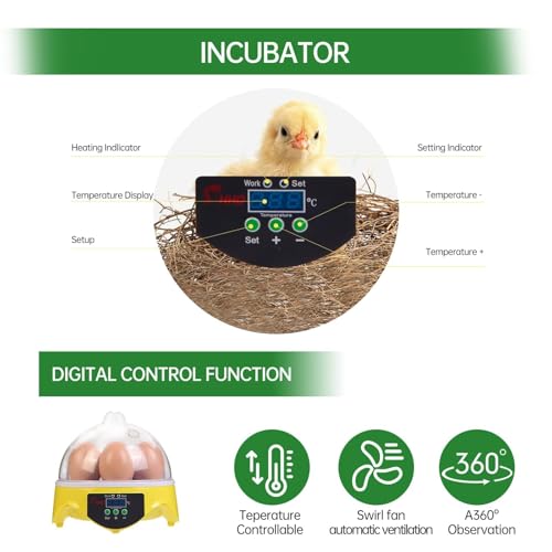 Gen 1-7 Egg Incubator for Kids & Beginners with 360° View, Manual Temperature Control for Chicken, Quail, and Parrot Eggs