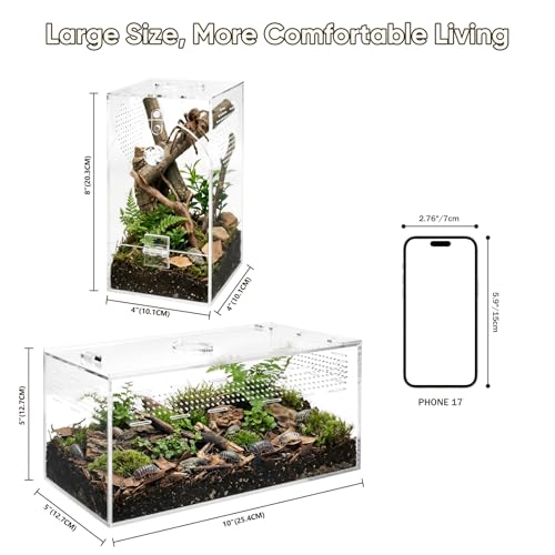 Jumping Spider Enclosure Set, Terrestrial Arboreal Combo, Acrylic Tarantula Terrarium, Praying Mantis Habitat, No Assembly, 2-Size Kit, Large - size: Large
