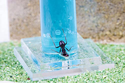 Anthouse.ES - Natural Sand Ant Farm - Acrylic Starter Kit 20x10x10 cm - Sand, Pipette, and Water Dispenser Included - Easy Installation - color: Clear