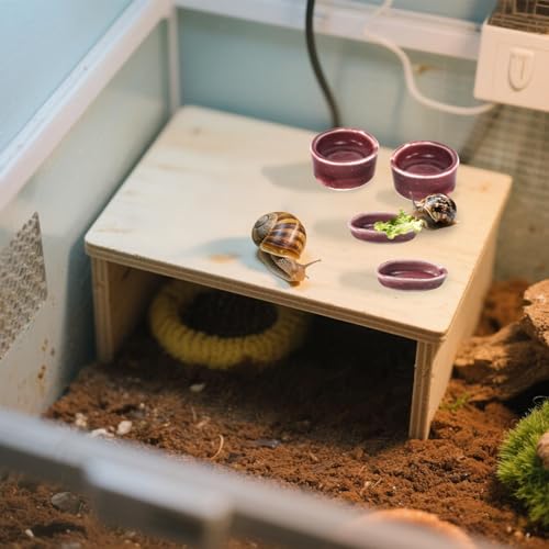4 Pack Snails Feeding Dish Set for Land Snails, Snail Food and Water Bowl - Calcium Food Bowl & Water Tray, Mini Pet Supplies, Durable Snail Tiny Pet Dishes
