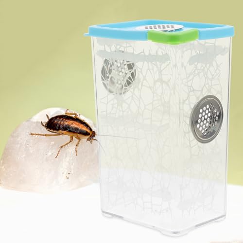 Jumping Spider Enclosure and Small Reptile Habitat Box, Plastic Feeding Terrarium for Frogs, Turtles, Bearded Dragons, and Chameleons, Compact Micro Vivarium for Home and Office