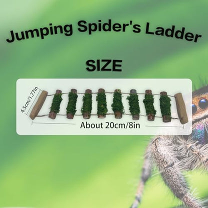 Jumping Spider Rope Bridge,A Solid Wood Climbing Suspension Bridge, a Jumping Spider Enclosure Accessory, Handmade, a Spider Jump Platform, Used As a Decorative Accessory for Small Reptile Enclosures
