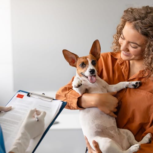 500 Pcs Animal in Heat Veterinary Labels, Fluorescent Orange-Red | 1 x 1.5 Inch, Pet Care Instruction Stickers, for Animal Clinics, Shelters, Pet Stores, Party Rave - size: 1 x 1.5 Inch, style: Animal in Heat
