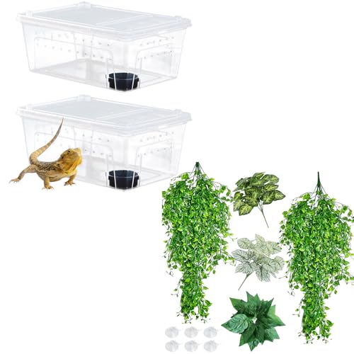 Hamiledyi 2PCS Reptile Feeding Box Snake Breeding Box Transparent Cage and Reptile Plants Tank Habitat Decorations Fake Hanging Vines 5 Pcs for Bearded Dragon, Leopard Gecko, Lizard, Chameleon, Snake