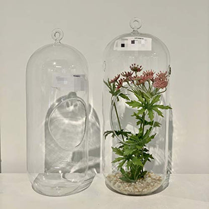 WGV Hanging Glass Plant Terrarium, Width 5", Height 13", Lantern DIY Air Succulent Planter Clear Tea Light Votive Candle Holder, Wedding Event Office Home Outdoor Decor, 1 Piece