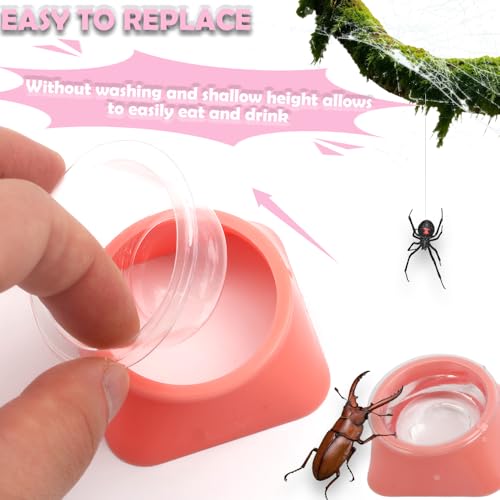 50 Pcs 0.5oz Spider Food and Water Feeding Cups Small Reptile Feeder Bowls with Base for Spider Snail Crab Insect