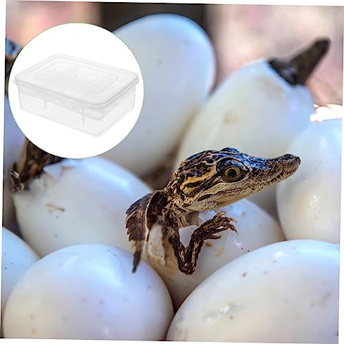 TOYANDONA 16-Hole Plastic Reptile Egg Incubator Hatching Box for Gecko and Lizard Eggs Sturdy Reptile Breeding Tray Lid for Accessories