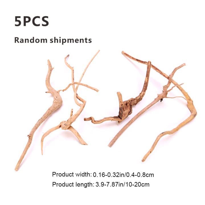5 Pcs Aquarium Driftwoods Natural Driftwood Fish Tank Decorations Solid Reptile Wood Branches for Fish Tank Small Fish Hiding