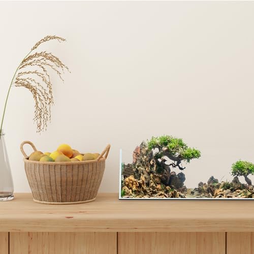 UNS Ultra Clear Rimless Tank - 10.2GAL | 38.8L - 23.62x14.17x7.08 | 60x36x18 CM, 5mm Glass Thickness, Leveling Mat Included - Low Iron, High Clarity Fish Tank w/ 45° Mitered Edge - [60S] - size: [60S] - 10.2 Gal - 23.62 x 14.17 x 7.08 in