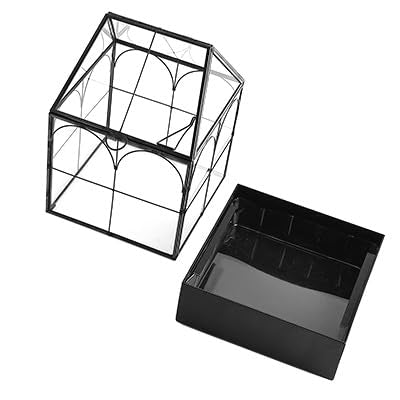 Glass Terrarium with Metal Tray, Glass Greenhouse Terrarium Kit | for Succulents, Cacti, Snails, Spiders, and Miniature Reptiles, Black (Small-5.9" L x 5.9" W x 10.2" H) - size: Small-5.9"L x 5.9"W x 10.2"H