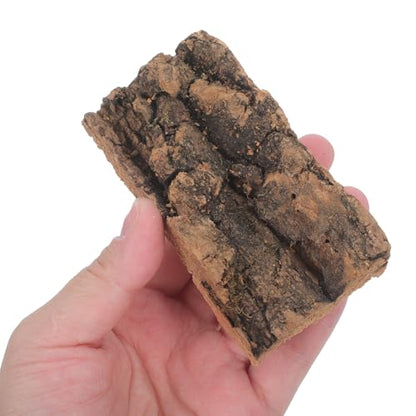 NUOBESTY 8 Pack Cork Bark for Reptile Hides and Terrarium Decor | Natural 2 X 3.9 in Reptile Tree Bark Panels for Gecko Climbing, Custom Shelters, Plant Mounting and Bioactive Layouts