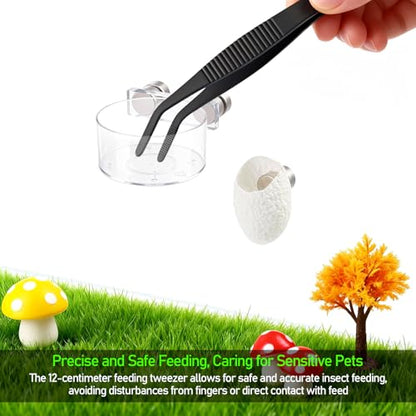 Jumping Spider Water Dish Feeding Set Magnetic Bowl Tongs | Magnetic Water Bowl Feeding Dish Tweezer Silk Cocoon Enclosure Accessories Kit for Jumping Spider Reptile Small Pets