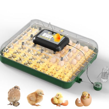49 Egg Incubator for Hatching Eggs with Automatic Egg Turning, Temperature & Humidity Display, Hatch Day Countdown, Auto Water Refilling System, Egg Candler, Multifunctional Egg Tray for Chicken - size: M- 49 Chicken Eggs