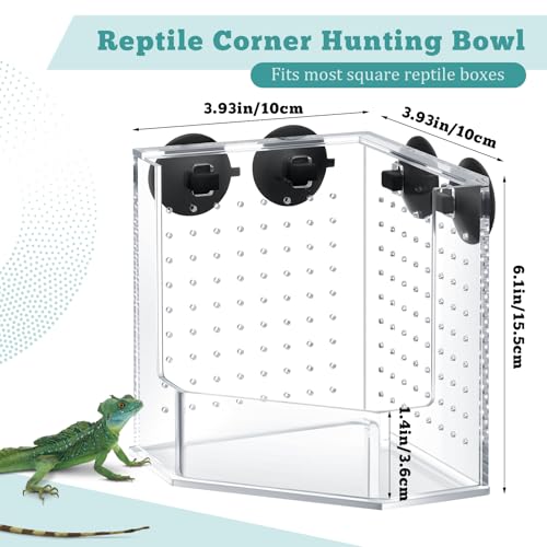 Weysat Reptile Corner Hunting Bowl, Transparent Acrylic Reptile Feeder Box with 4 Suction Cups, Tank and Aquarium Accessories for Lizard Bearded Dragon Chameleon Gecko Frog, 3.9 x 3.9 x 6.1 Inches