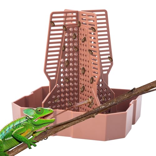 Reptile Feeder Bowls with Climbing Ladder for Chameleon,Bearded Dragon,Guardians Hunting Bugs Keep Training Terrarium Bowls for Lizards,Frogs,Geckos Other Small Pets,Brown (Large)