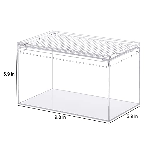 NANEEZOO Magnetic Acrylic Enclosure 10x6x6 Inch Tall Long Case Reptile Habitat Terrarium cage for Terrestrial Arboreal Tarantula Scorpion Sling Isopods Lizards Invertebrates Insect Mantis