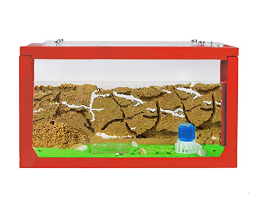 Anthouse.ES - 3D Aquarium-Style Natural Ant Farm - Sand Ant Farm - Complete Kit with Sand and Accessories - Starter Model 20x10x10 cm - Red Color - color: Red