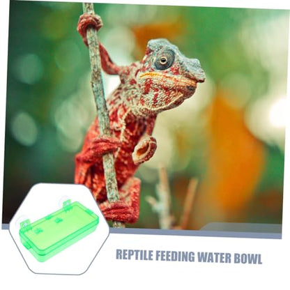 Abaodam Escape Prevention Reptile Feeder Bowl Multi-Function Food and Water Bowl Gecko Tank Accessory Chameleon and Bearded Dragon Feeder Easy to Clean and Detachable Design - color: Light Green, size: 9.00X6.00X3.50CM
