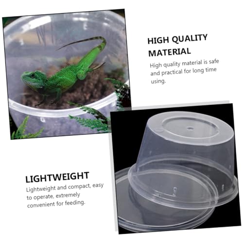 SUPVOX 20pcs Lizard Feeding Boxes Turtle Box Reptile Rack Cage for Reptiles Lizards Turtles Spiders Insects
