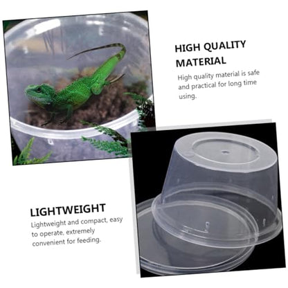 SUPVOX 20pcs Lizard Feeding Boxes Turtle Box Reptile Rack Cage for Reptiles Lizards Turtles Spiders Insects