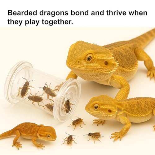 2Pcs Bearded Dragon Enrichment Toy - Foraging Toys & 2 Tweezers for Bearded Dragons to Play with – Bearded Dragon Toy for Reptiles - Reptile Terrarium Tank Accessories for Gecko, Lizard