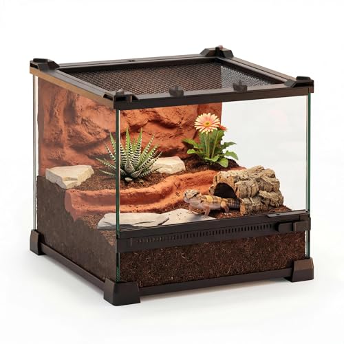 10"x10"x8" Reptile Terrarium, Single-Door Glass Terrestrial Vivarium for Small Desert Reptiles Such as Juvenile Leopard Geckos, with Lock, Cable Port & Waterproof Deep Base Below Front Door