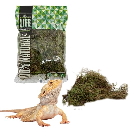 Deco Moss for Terrarium Habitats, Small 1-Pack | Preserved Moss for Reptiles, Amphibians & Invertebrates Terrariums, Humidity Control, Soft, Dye-Free, Family Owned, USA Made - size: Small 1-pack, style: Deco Moss