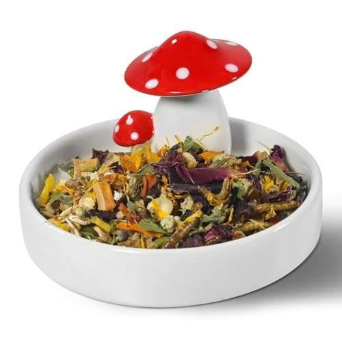 Niteangel Hamster Feeding & Food Bowls: Mushroom Ceramics & Chew-Resistant | Easy to clean & Stable Food Dish Feeding Bowls for Dwarf Syrian Hamsters Gerbils Mice Rats or Other Similar-Sized Small Pets - size: Feeding Bowl