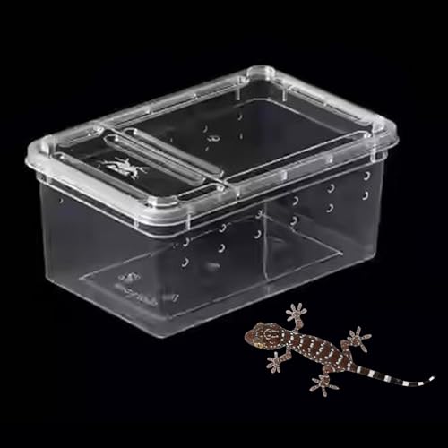 Reptile Breeding Case Feeding Box Transparent Transport Hatchling Cage Lightweight PP Material Suitable for breeding Reptiles Outdoor, Style A - size: Style A