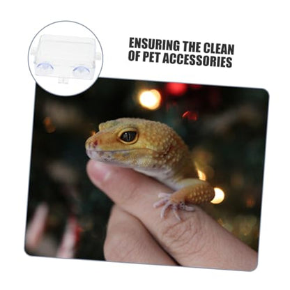 HANABASS Reptile Feeding Bowl Cup Transparent -Escape and Food for Lizards Geckos Bearded Dragons and Chameleons Easy to Clean and Maintain - color: Transparent, size: 13.50X6.50X3.50CM