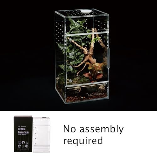 Acrylic Terrarium for Reptiles & Spiders – Small/Medium/Large Leak-Proof Enclosure (Horizontal/Vertical) | Ideal for Tarantulas, Jumping Spiders, Frogs & Geckos(Small, Vertical) - size: Small