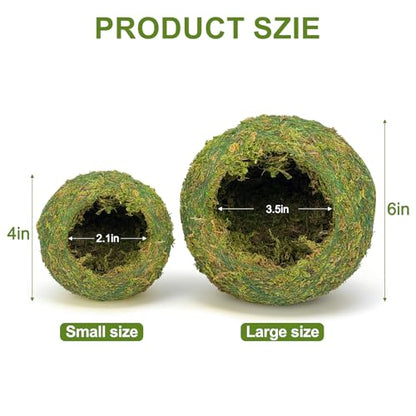 Handmade Moss Reptile Hanging Nest 4 Pcs Set, Large 6″ x 6″ | Gecko Hideout with Ladder, Terrarium Decor for Crested Gecko, Leopard Gecko, Lizard, Small Reptiles & Amphibians - size: Large 6″ x 6″