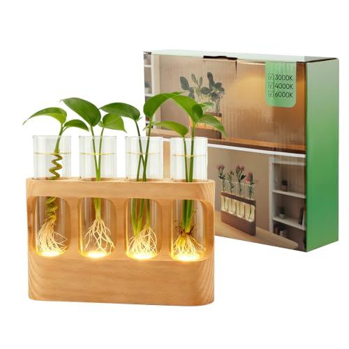 Rechargeable Plant Propagation Station with Wooden Stand,Desktop Terrarium Home Decor Dimmable LED Light 4 Glass Tubes Vases for Hydroponic Plants for Women