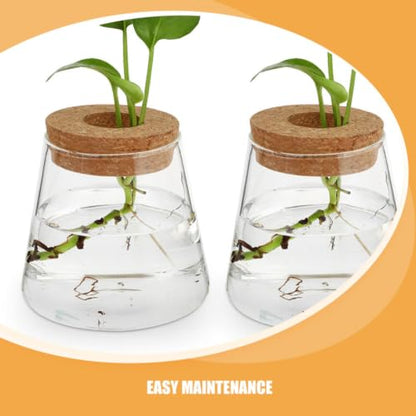 3pcs Glass Hydroponic Plant Vases with Wood Lid Plant Propagation Terrariums for Desk and Home Decor Stylish Desktop Containers Showcasing Root Growth for Flowers