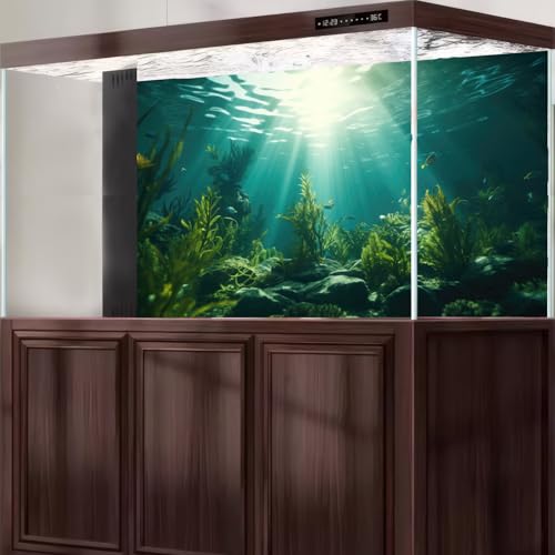 Aquarium Background Underwater Aquatic Plants Rocks Fish Tank Background Tropical Fish Sun Rays Landscapes Terrarium Backgrounds Undersea Rocks Green Seaweeds Reptile Tank Backgrounds Poster 24x12in - color: Green, size: 24(W)x12(H)in