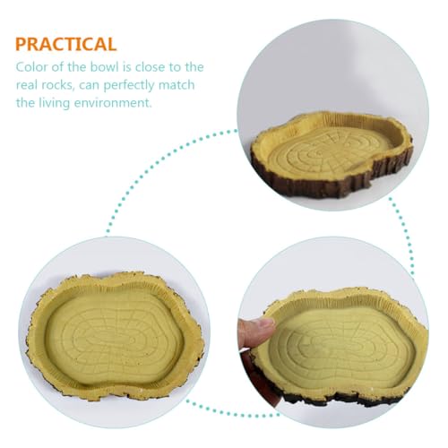 Sosoport 2pcs Resin Reptile Food Feeding Container and Tortoise Water Dish for Terrarium, Multifunctional Pet Food Storage Basin Suitable for Lizards, Tortoises, and Small Crawling Pets