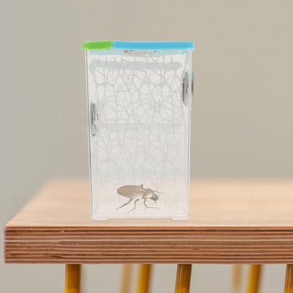 Jumping Spider Enclosure and Small Reptile Habitat Box, Plastic Feeding Terrarium for Frogs, Turtles, Bearded Dragons, and Chameleons, Compact Micro Vivarium for Home and Office