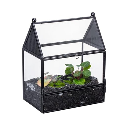 NCYP Small Glass Enclosure with Mesh for Jumping Spiders - 5.8" x 3.8" x 7" Micro House Shaped Small Spiders Vented Glass Terrarium, Home Decor Black (Glass Terrarium Only) - size: 5.8" x 3.8" x 7"