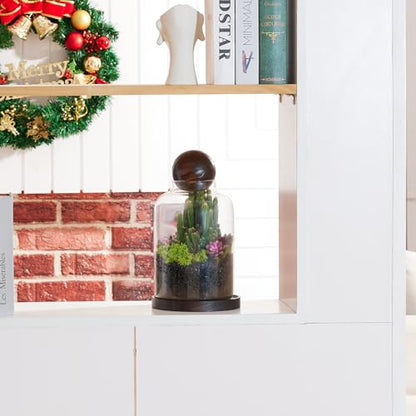 Tall Glass Terrarium Jar: House for Succulent Plant/Moss/Fish | Mini Table with Wood Base/Ball lid Office Home Decoration - size: H-9.8IN