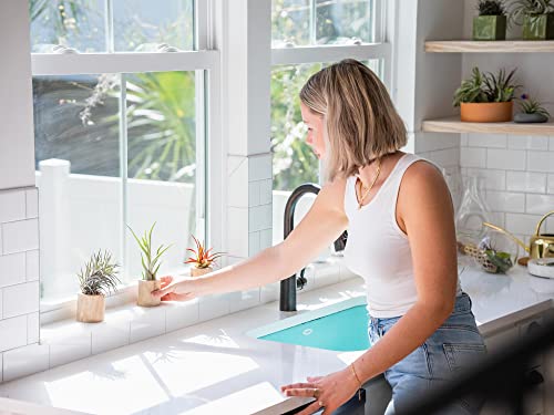 Glass Teardrop Beach Plant Terrarium - Air Plant, Sand, Starfish and Shell in Propagation Jar - Home and Garden Decor Plant Pot- Easy Care Indoor and Outdoor Plant Vase (3 Teardrop Set) - size: 3 Teardrop Set
