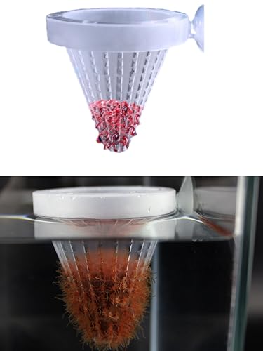 4PCS Aquarium Nematode Feeder, which Comes with Suction Cups for, and Aquarium Live Red Worm Feeding Cone Cups